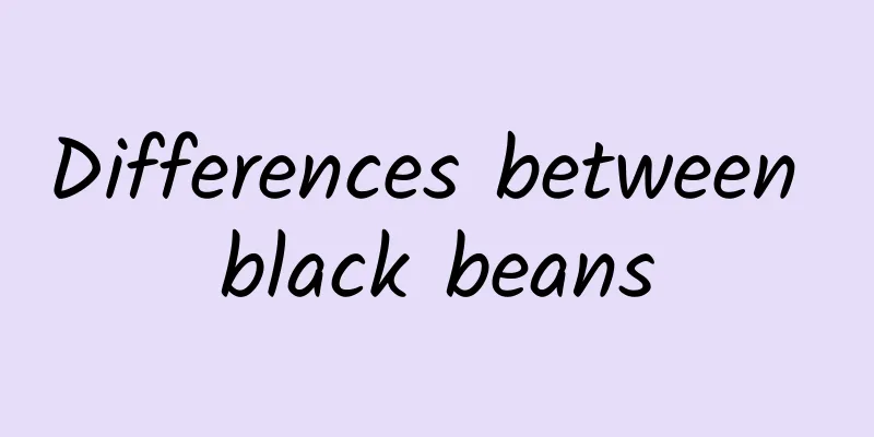 Differences between black beans