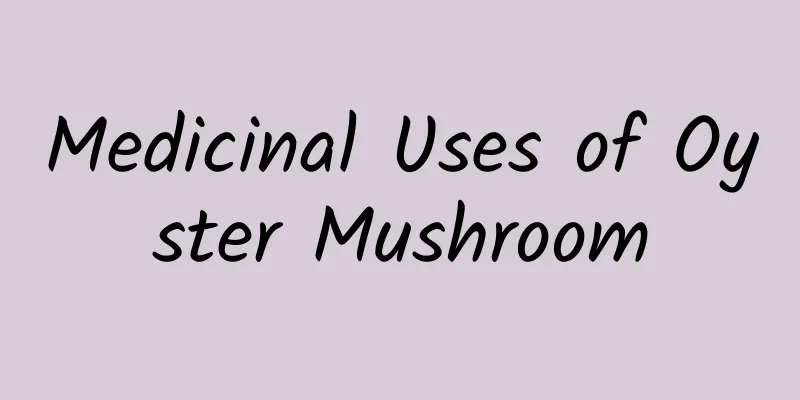 Medicinal Uses of Oyster Mushroom