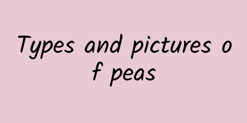 Types and pictures of peas