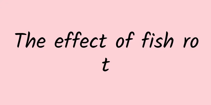 The effect of fish rot