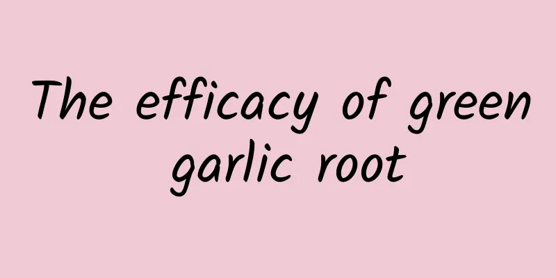 The efficacy of green garlic root