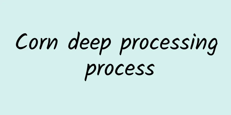 Corn deep processing process