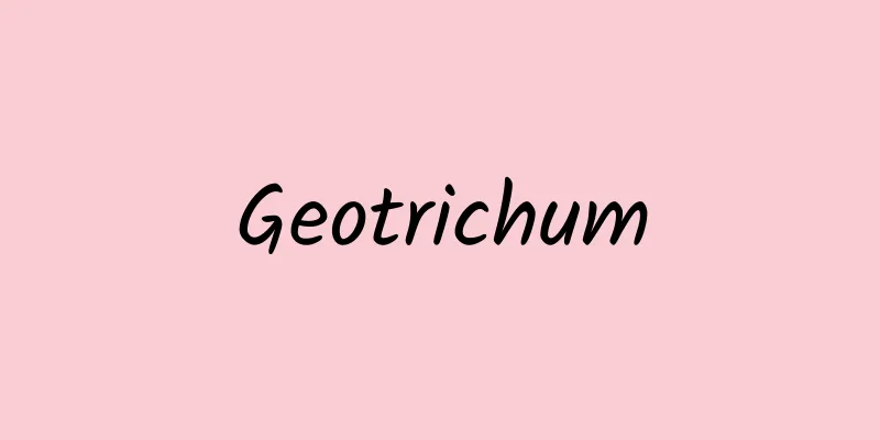 Geotrichum