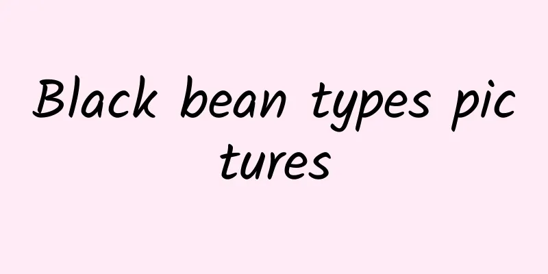 Black bean types pictures