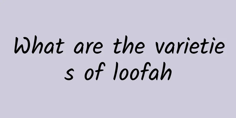 What are the varieties of loofah