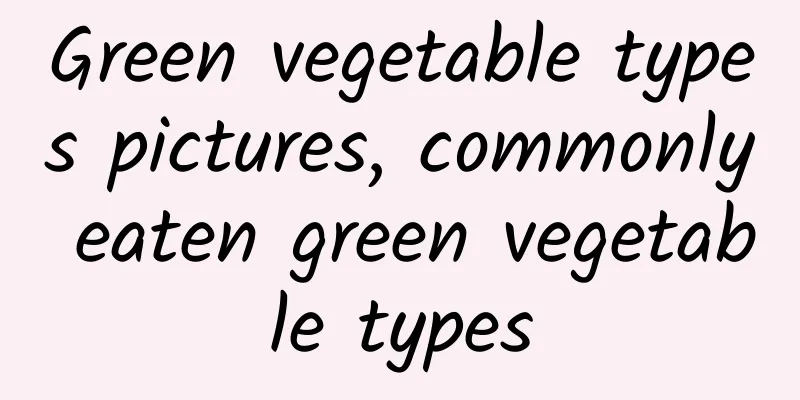 Green vegetable types pictures, commonly eaten green vegetable types