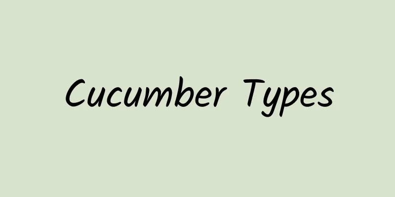 Cucumber Types