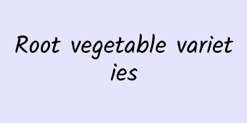 Root vegetable varieties