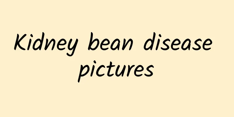 Kidney bean disease pictures