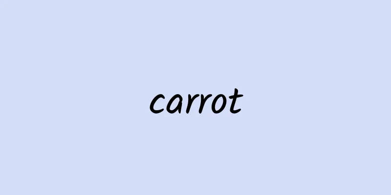 carrot