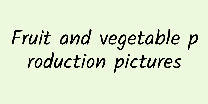 Fruit and vegetable production pictures