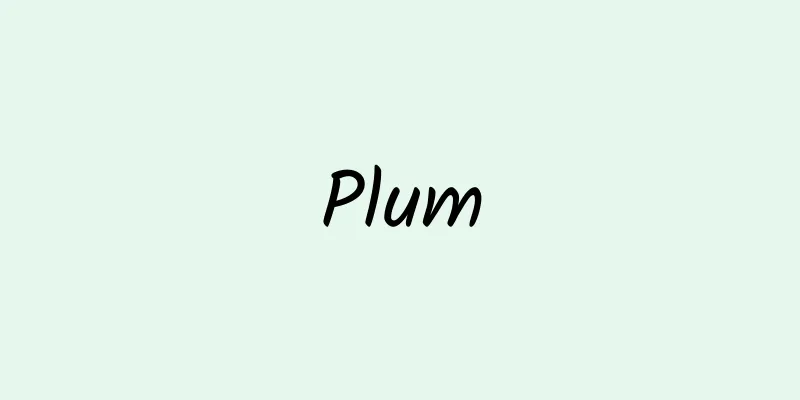 Plum