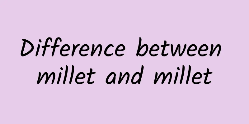 Difference between millet and millet