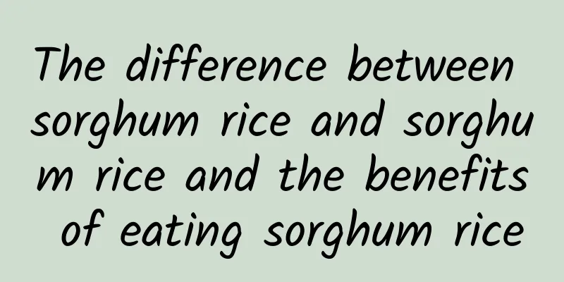 The difference between sorghum rice and sorghum rice and the benefits of eating sorghum rice