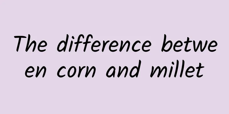 The difference between corn and millet