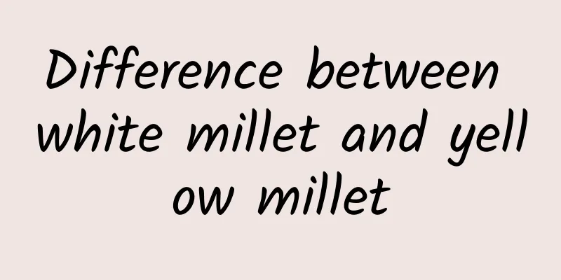 Difference between white millet and yellow millet