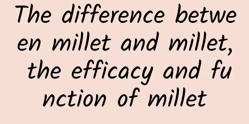 The difference between millet and millet, the efficacy and function of millet