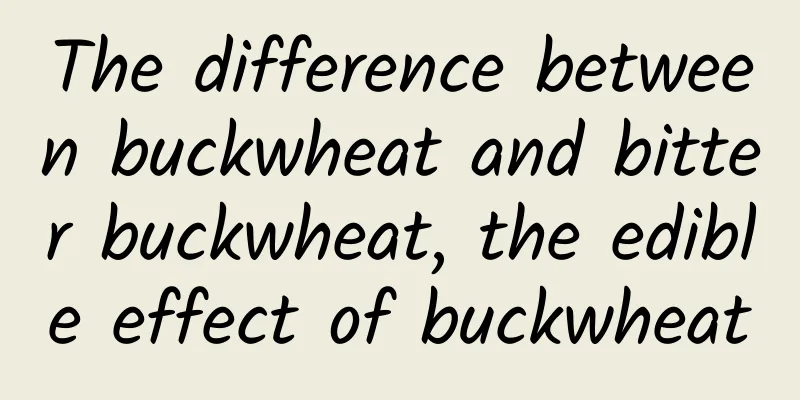 The difference between buckwheat and bitter buckwheat, the edible effect of buckwheat