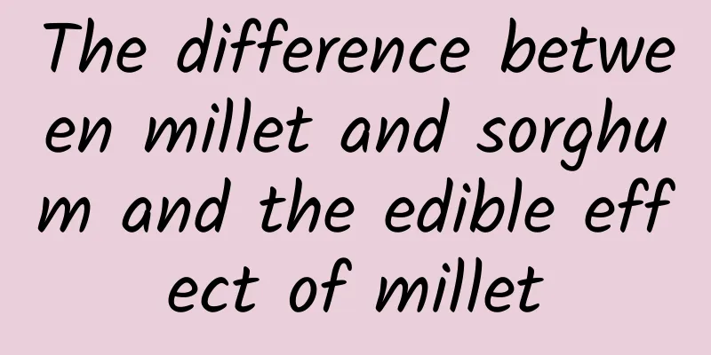 The difference between millet and sorghum and the edible effect of millet