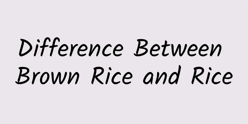 Difference Between Brown Rice and Rice