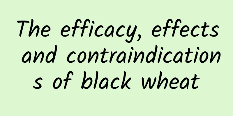 The efficacy, effects and contraindications of black wheat