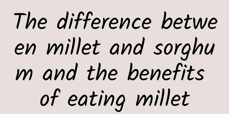 The difference between millet and sorghum and the benefits of eating millet