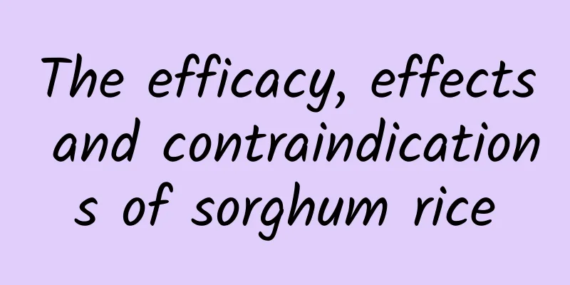 The efficacy, effects and contraindications of sorghum rice