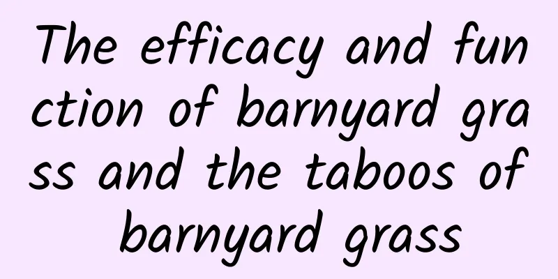 The efficacy and function of barnyard grass and the taboos of barnyard grass