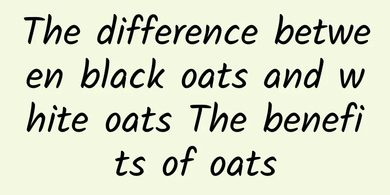 The difference between black oats and white oats The benefits of oats