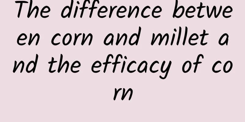 The difference between corn and millet and the efficacy of corn