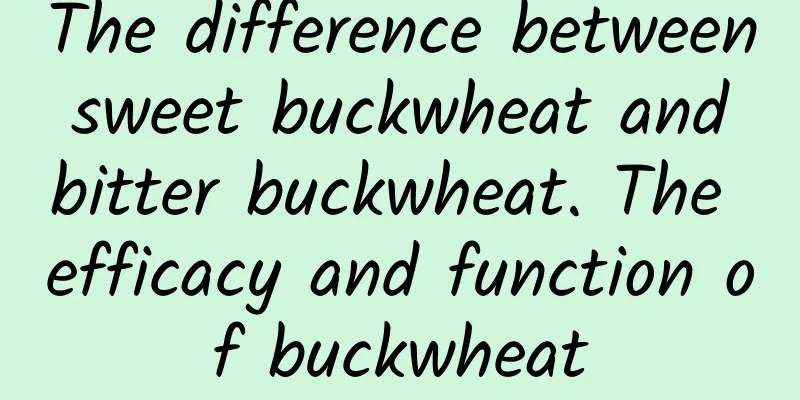 The difference between sweet buckwheat and bitter buckwheat. The efficacy and function of buckwheat