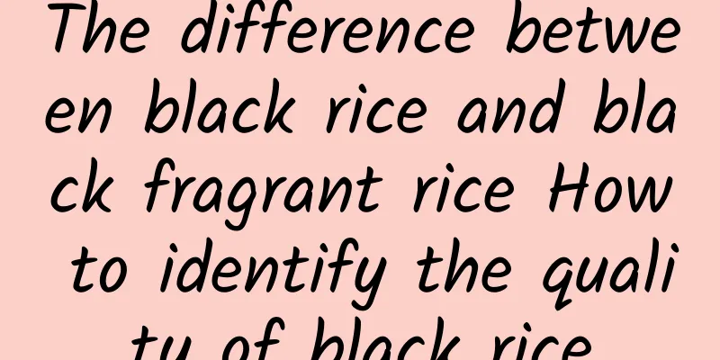 The difference between black rice and black fragrant rice How to identify the quality of black rice