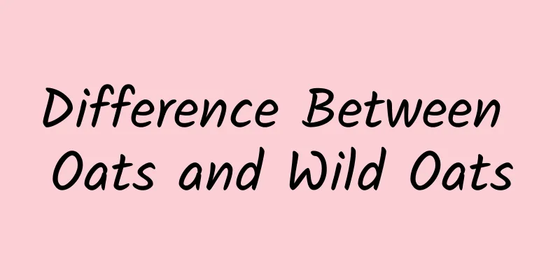 Difference Between Oats and Wild Oats