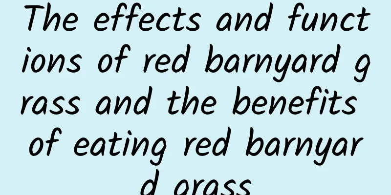 The effects and functions of red barnyard grass and the benefits of eating red barnyard grass