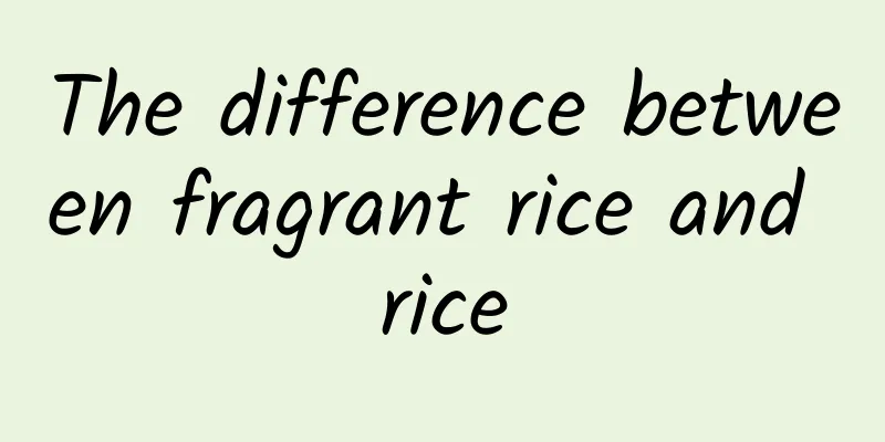 The difference between fragrant rice and rice