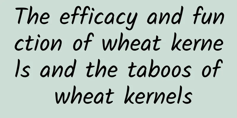 The efficacy and function of wheat kernels and the taboos of wheat kernels