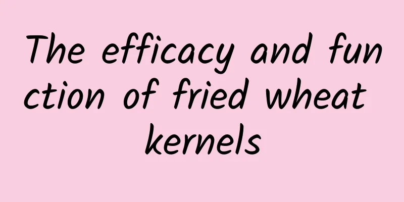 The efficacy and function of fried wheat kernels