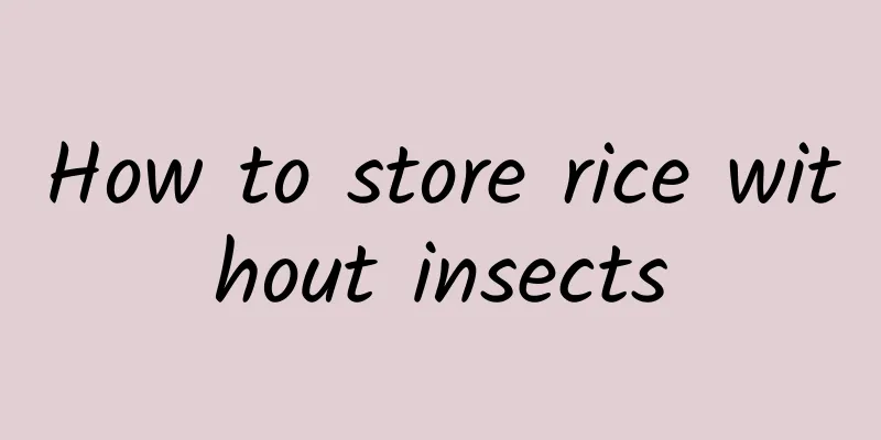 How to store rice without insects