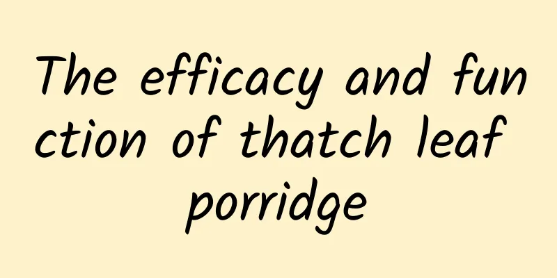 The efficacy and function of thatch leaf porridge