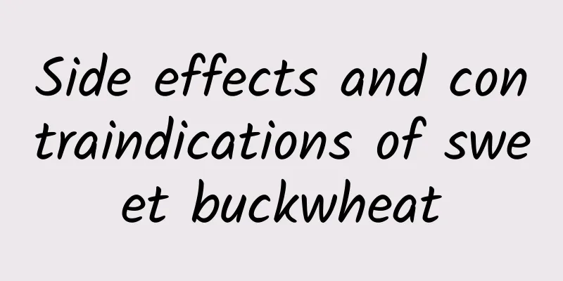 Side effects and contraindications of sweet buckwheat