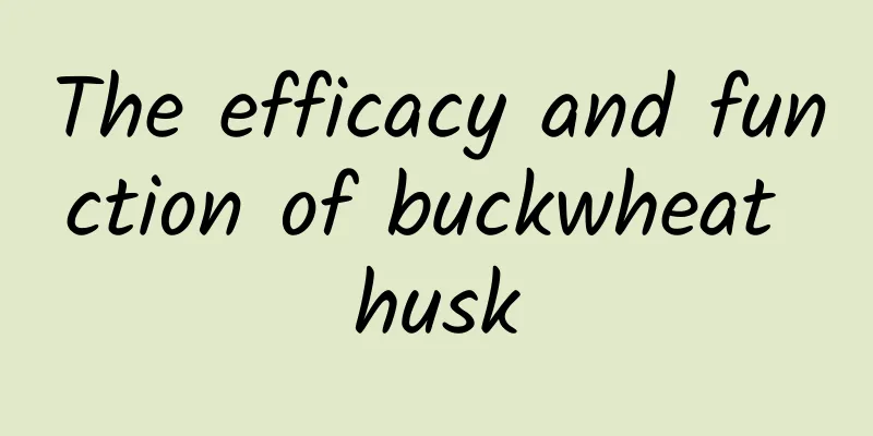 The efficacy and function of buckwheat husk