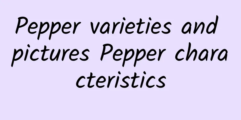 Pepper varieties and pictures Pepper characteristics