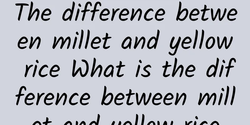 The difference between millet and yellow rice What is the difference between millet and yellow rice