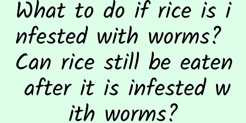 What to do if rice is infested with worms? Can rice still be eaten after it is infested with worms?