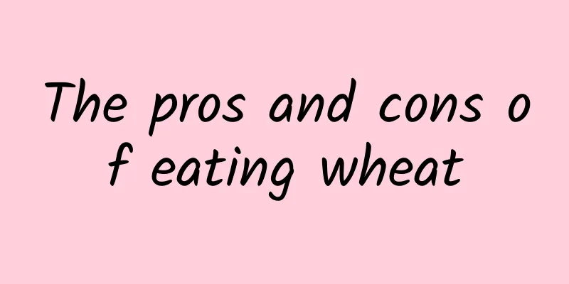 The pros and cons of eating wheat