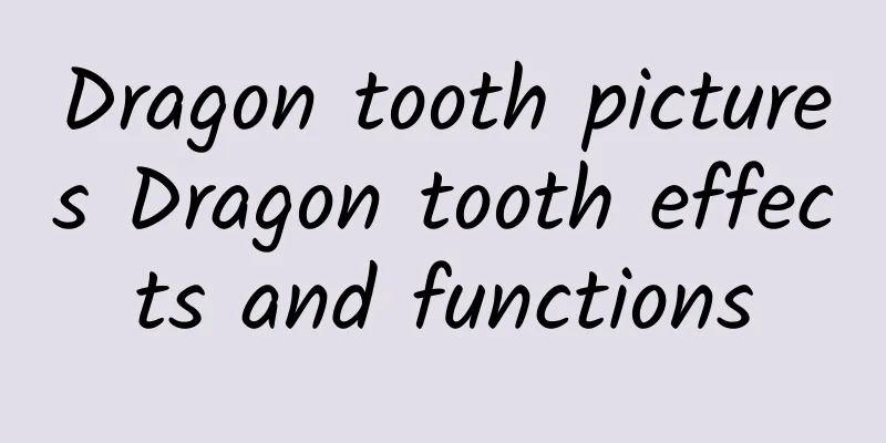 Dragon tooth pictures Dragon tooth effects and functions