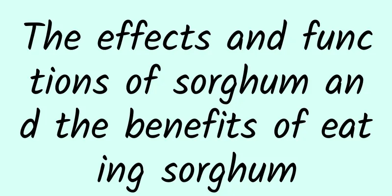 The effects and functions of sorghum and the benefits of eating sorghum