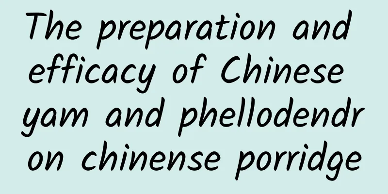 The preparation and efficacy of Chinese yam and phellodendron chinense porridge