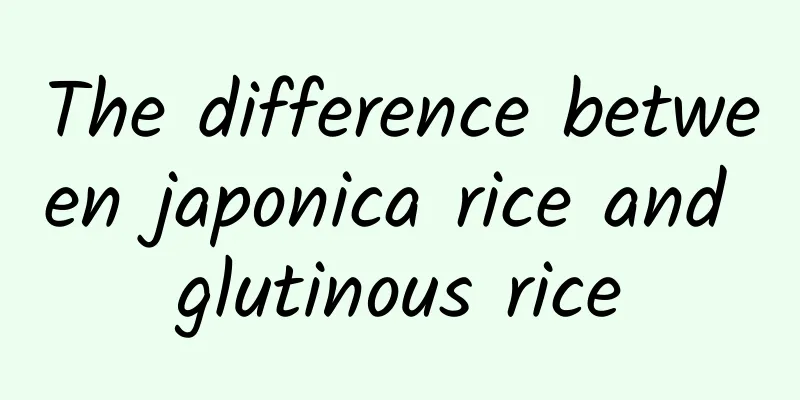 The difference between japonica rice and glutinous rice