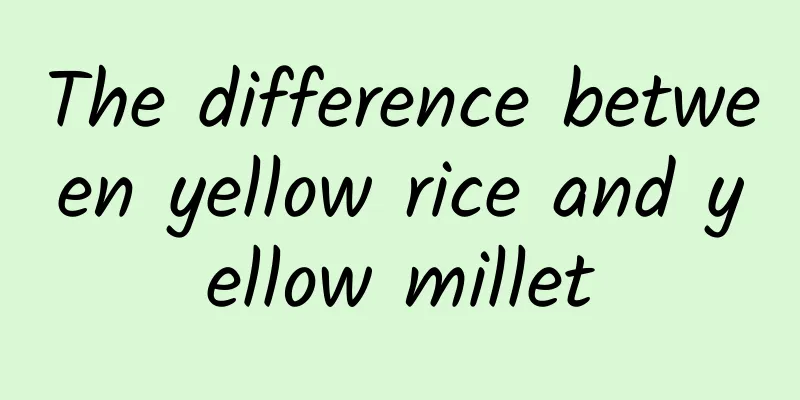 The difference between yellow rice and yellow millet